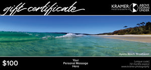 Gift Certificate - $100