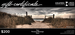 Gift Certificate - $200