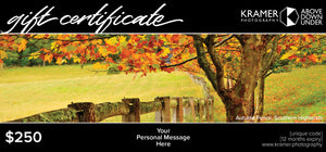 Gift Certificate - $250