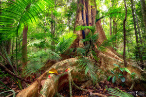 Queensland