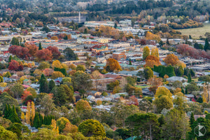 Bowral Township, Southern Highlands (AB034R)