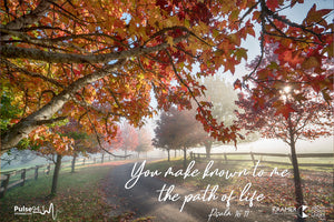 Word + Image: Psalm 16:11 - Autumn Mist (WI010R)