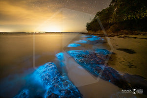 Bioluminescence, Jervis Bay (AF045R)