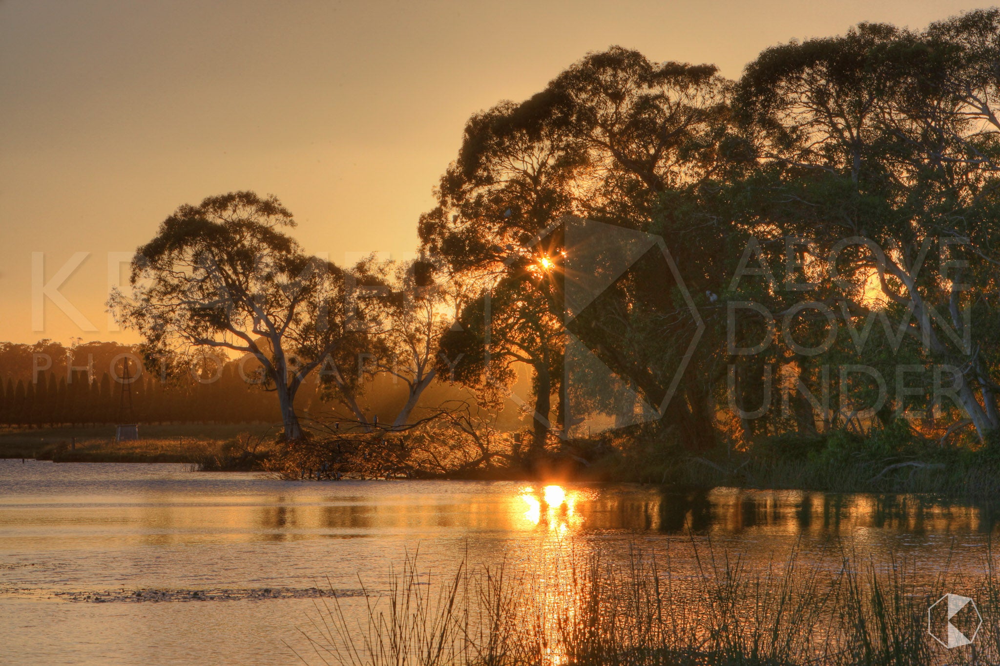 Cecil Hoskins Reserve, Southern Highlands, NSW (AB052R)