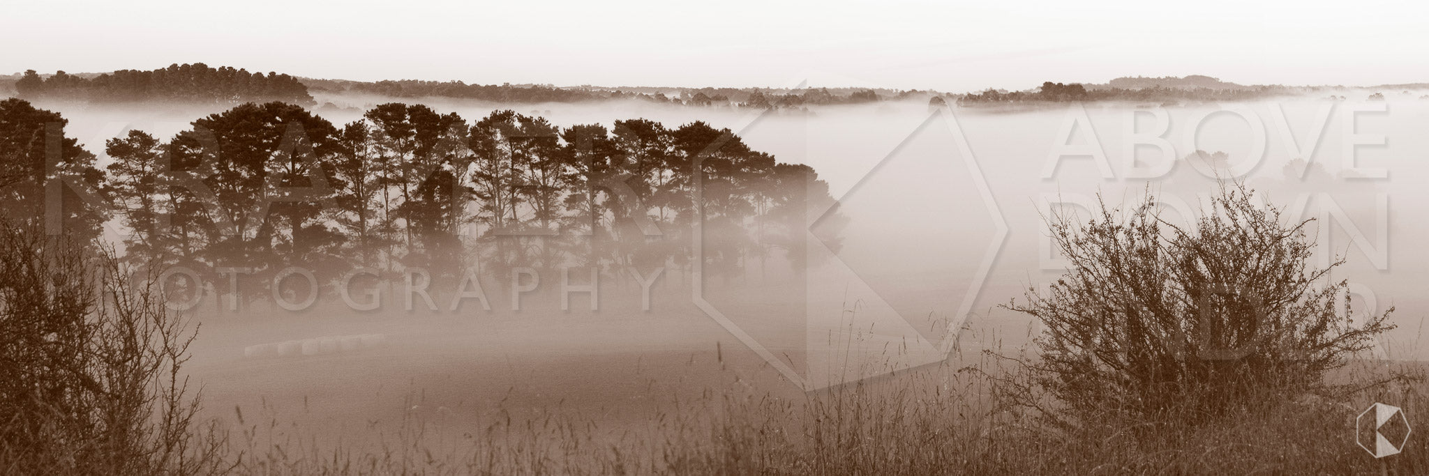Cecil Hoskins Reserve, Southern Highlands, NSW (AB056WP)