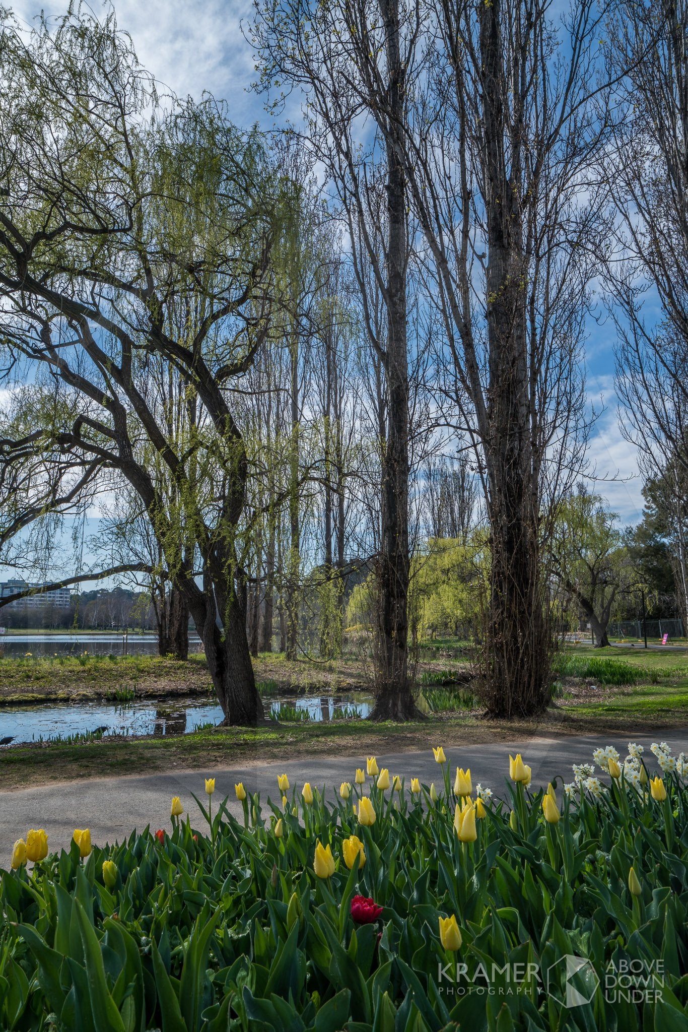 Commonwealth Park, ACT (FA097VR)