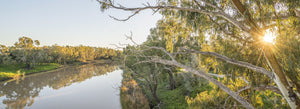 Darling River, Bourke, Outback NSW (BO010P)