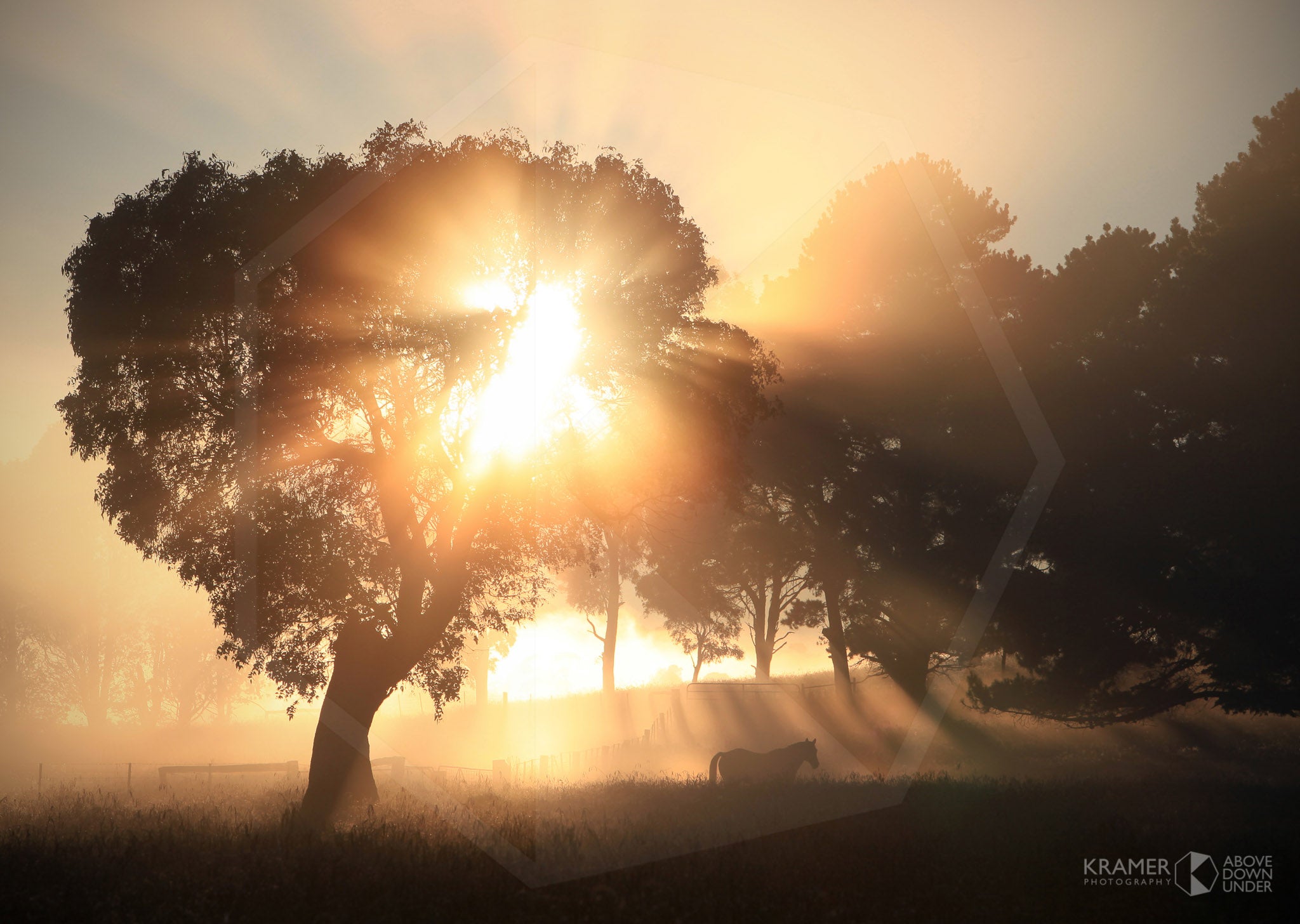 Daybreak, Southern Highlands, NSW (AB027R)