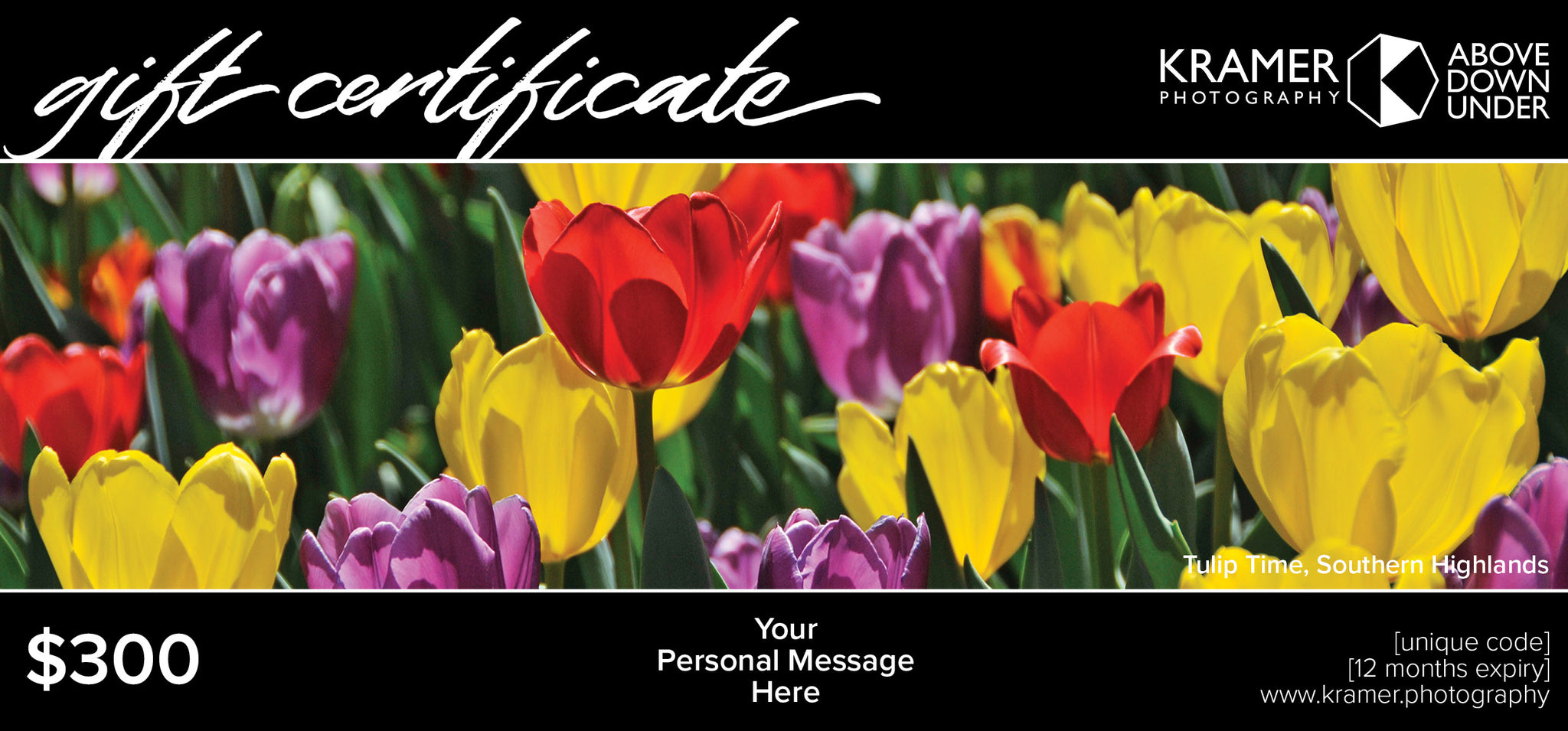 Gift Certificate - $300