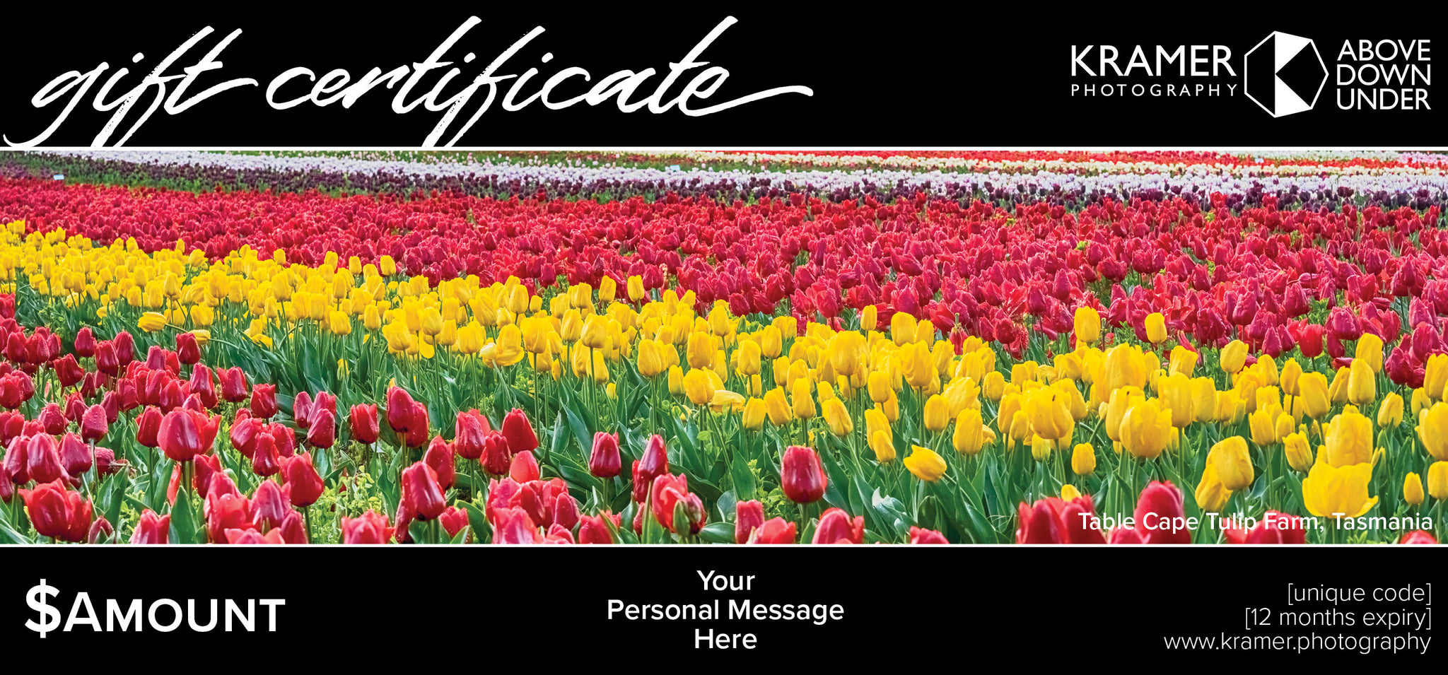 Gift Certificate - $300