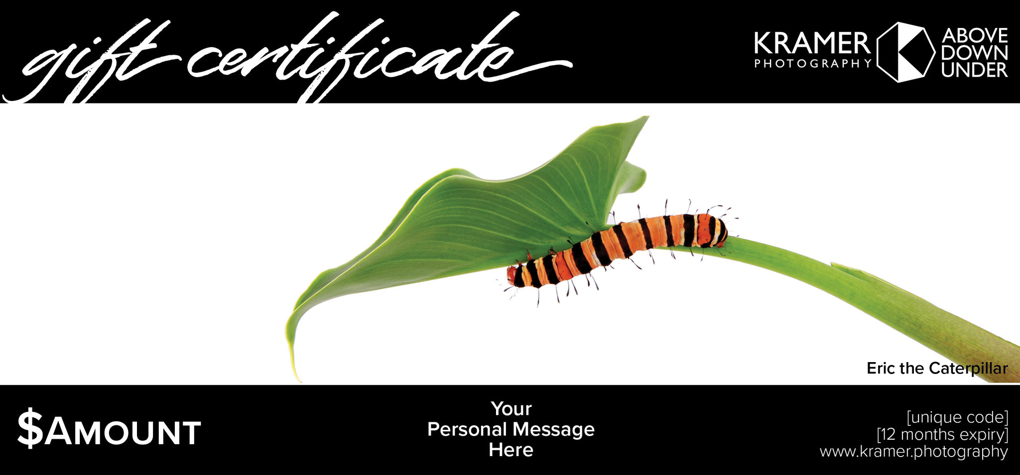 Gift Certificate - $500