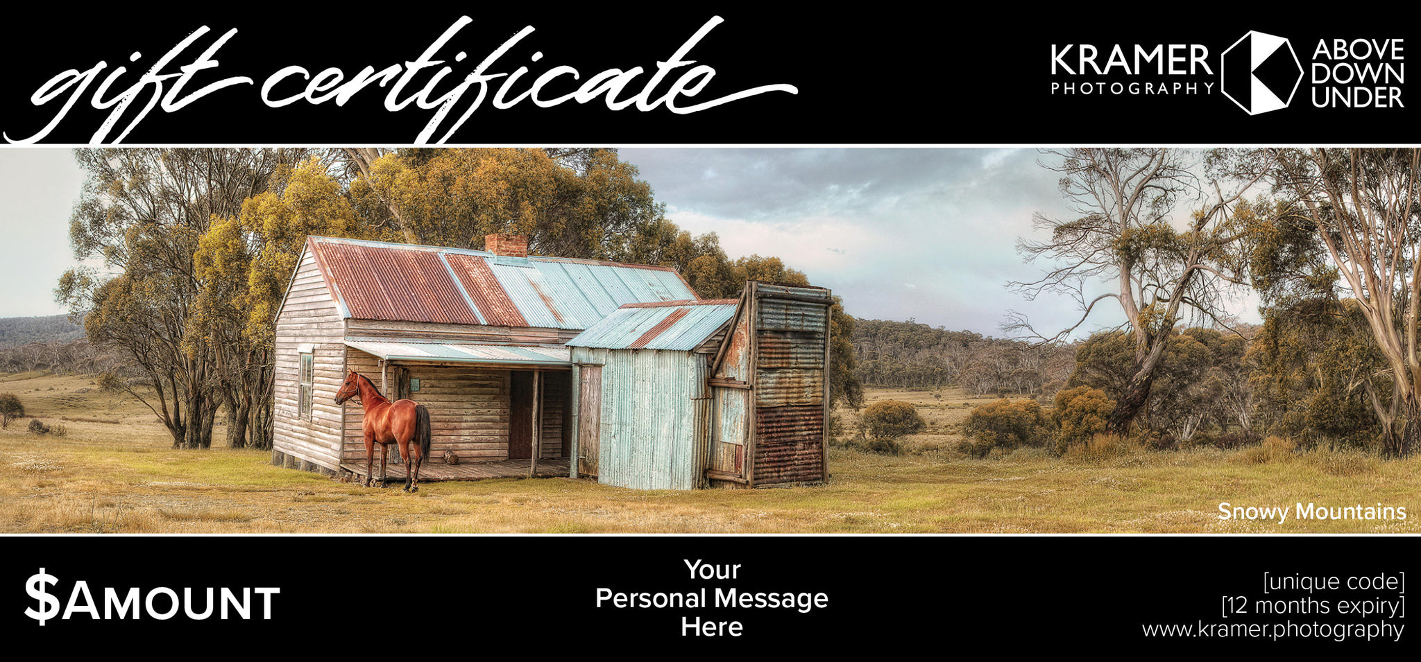 Gift Certificate - $500