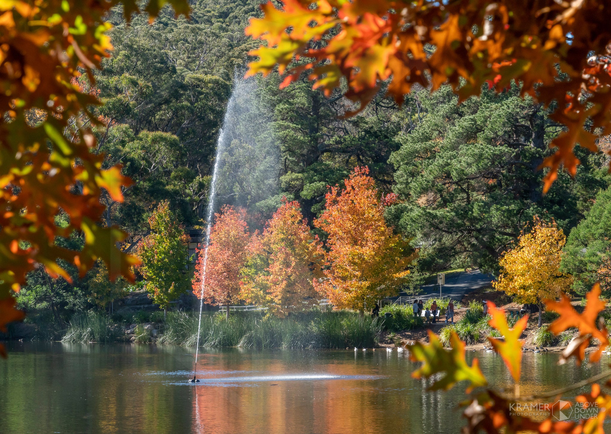 Lake Alexandra, Southern Highlands (AB082R)