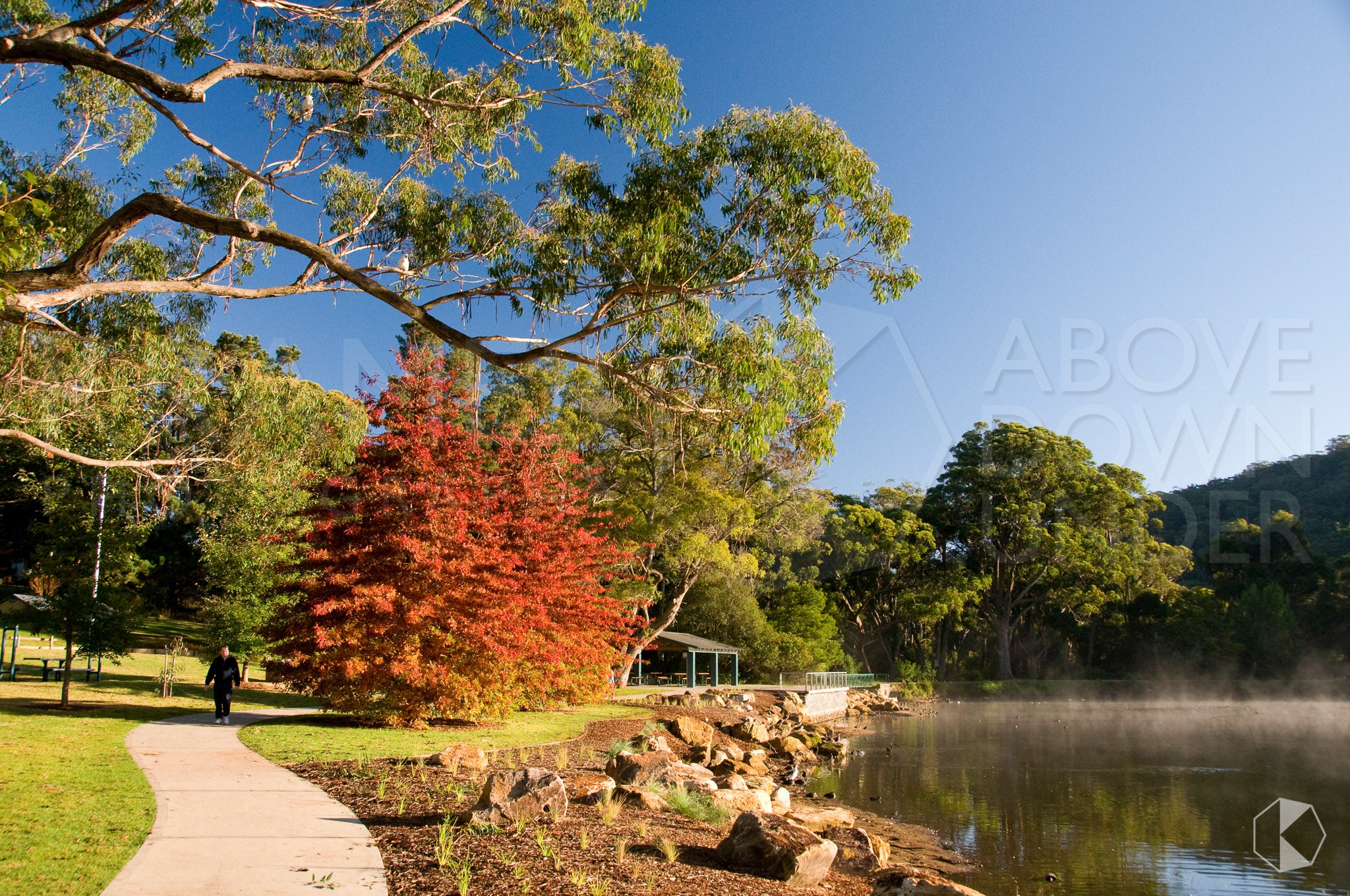 Lake Alexandra, Southern Highlands, NSW (AB041R)