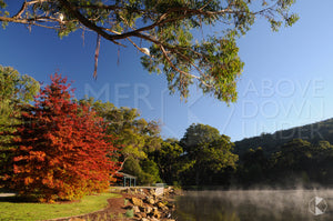 Lake Alexandra, Southern Highlands, NSW (AB043R)