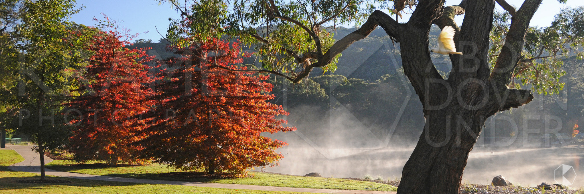 Lake Alexandra, Southern Highlands, NSW (AB044WP)