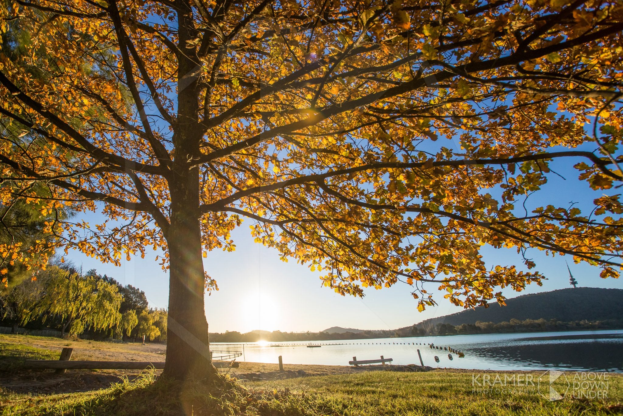 Lake Burley Griffin 'Golden Glow', ACT (FA040R)