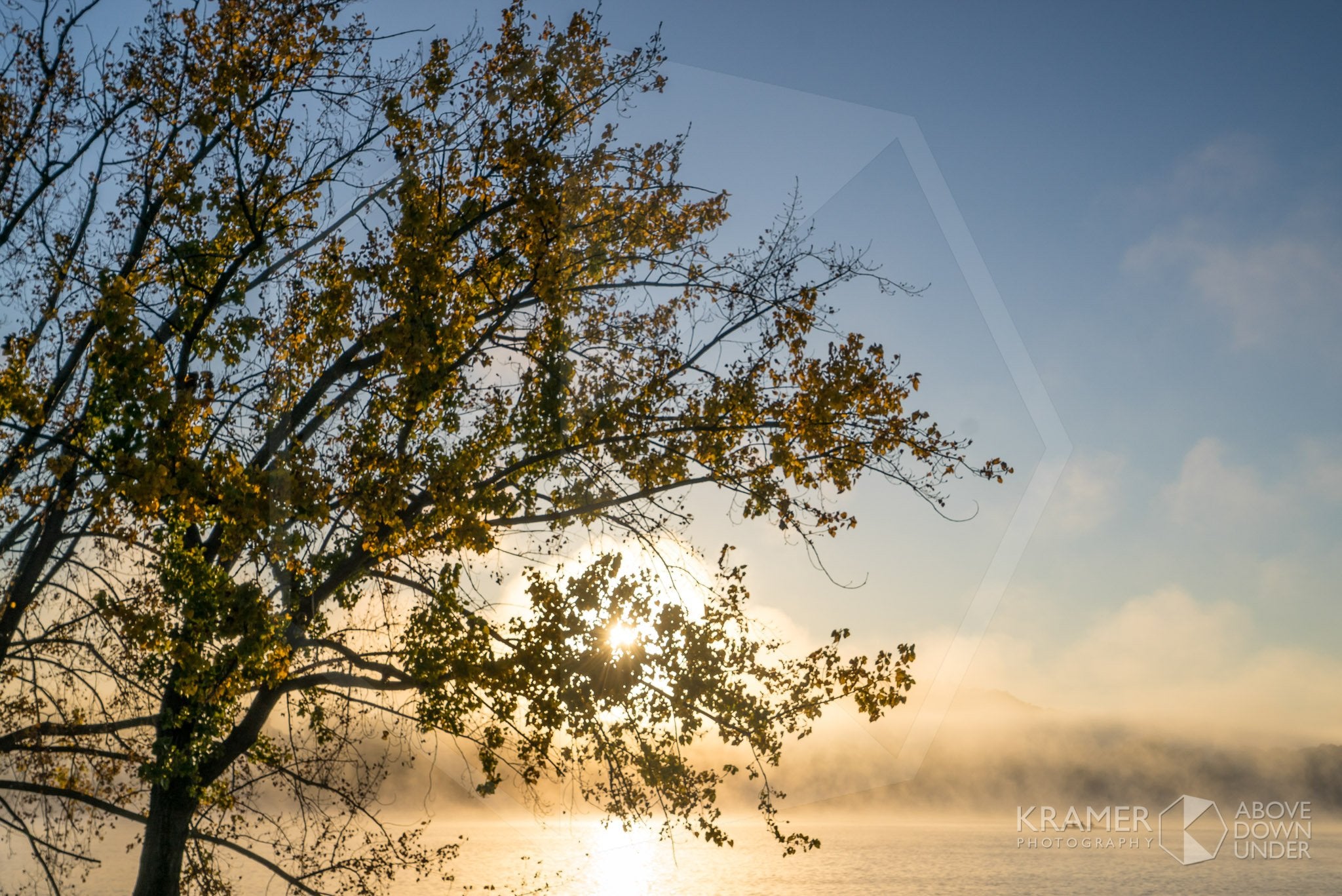 Lake Burley Griffin 'Misty Trees 3', ACT (FA061R)