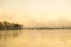 Lake Burley Griffin 'Morning Mist', ACT (FA062R)