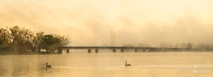 Lake Burley Griffin 'Mornng Mist', ACT (FA060P)