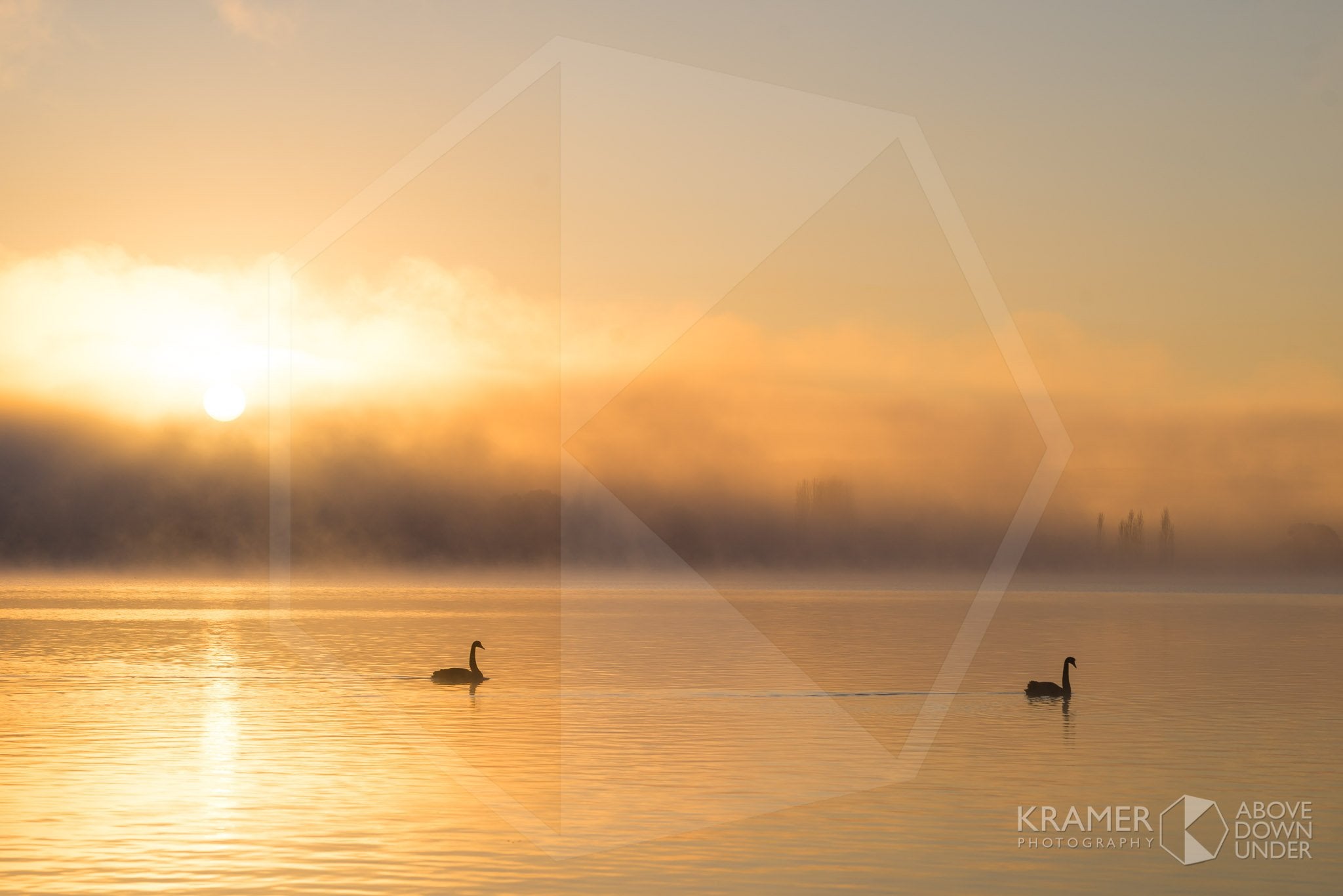 Lake Burley Griffin 'Swan Lake Act I', ACT (FA054R)