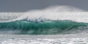 Martha Lavinia Surf, King Island (KI593P)