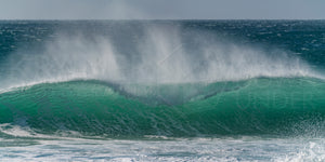 Martha Lavinia Surf, King Island (KI596P)