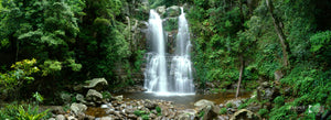 Minnamurra Falls, Budderoo National Park