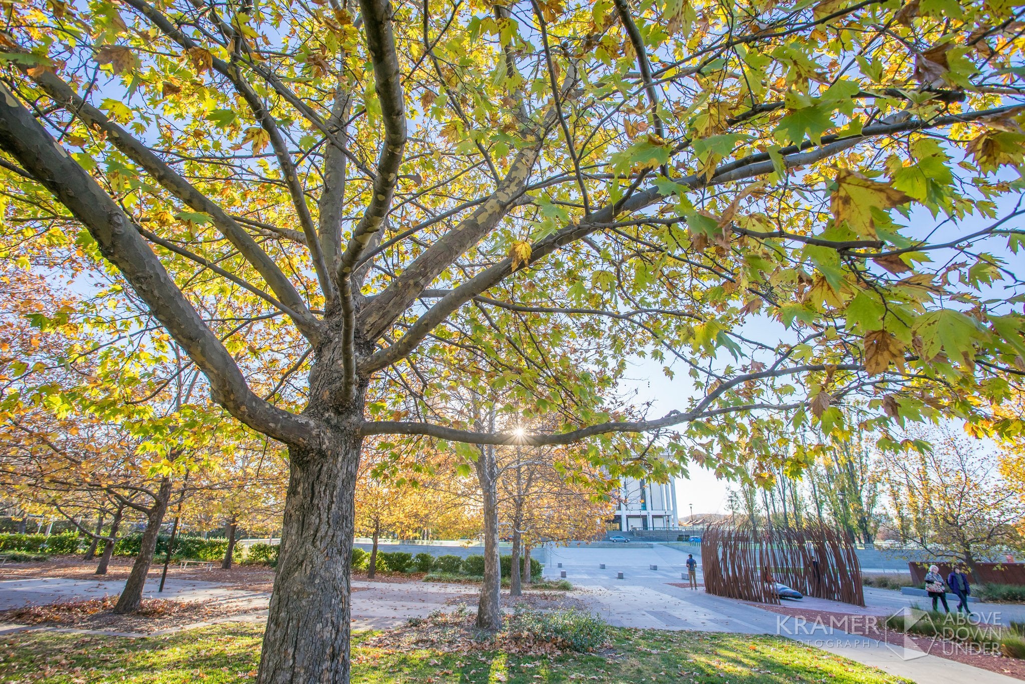 National Portrait Gallery, ACT (FA070R)