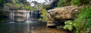 Nellies Glen, Southern Highlands, NSW (AB071WP)