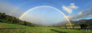 Rainbow, Tongarra (AD032P)