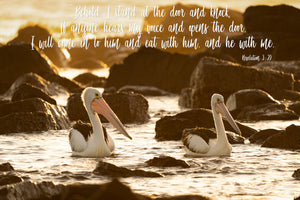 Word + Image: Revelation 3:20, Shellharbour Pelicans (WI045R)