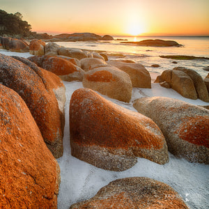 'Sunrise', Bay of Fires, Tasmania (CB011S)