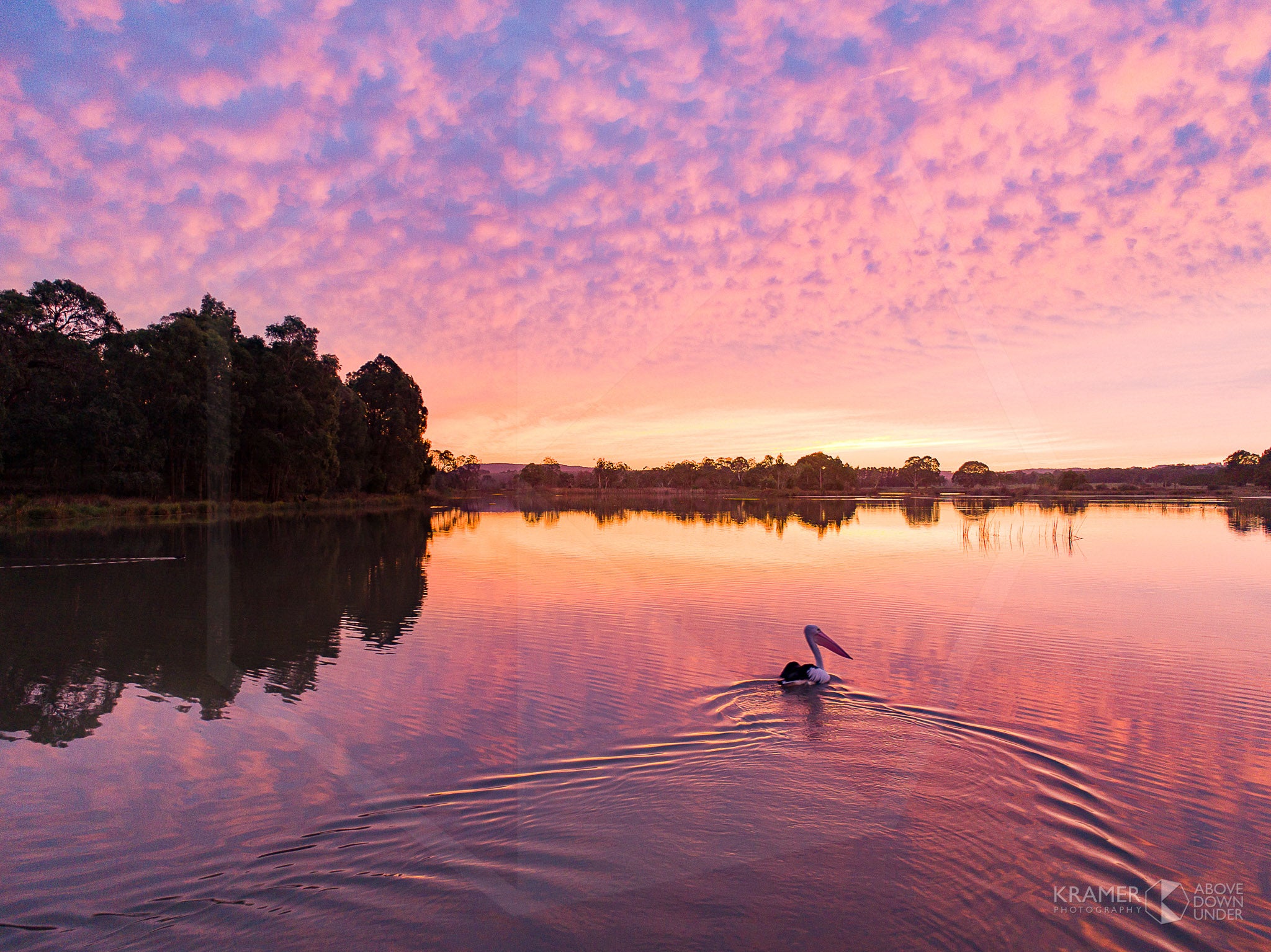 Sunrise at Cecil Hoskins, Southern Highlands (AB086R)