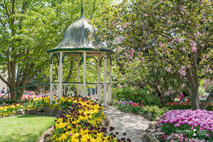 Tulip Time at Bowral, Southern Highlands (AB102R)