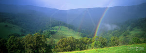 Valley Rainbow, Tongarra (AD033P)
