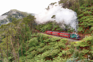 West Coast Wilderness Railway, Tasmania( (CB0557R)