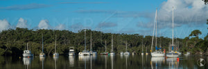 Woolamia, Shoalhaven (AF053WP)